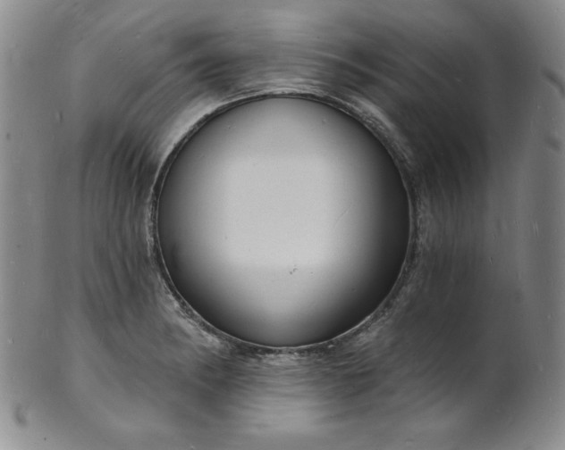 X0000101691182200807171428