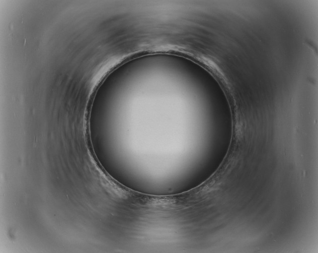 X0000101691183200807171428