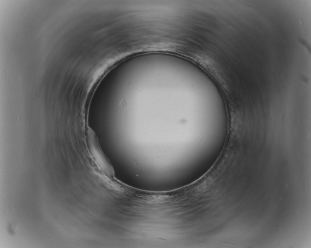 X0000101691184200807171428