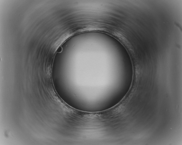 X0000101691185200807171428