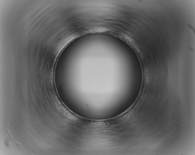 X0000101691186200807171428