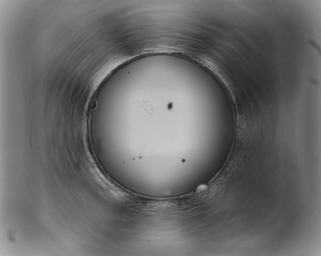 X0000101691187200807171428