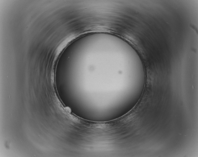 X0000101691188200807171428