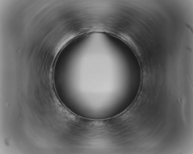 X0000101691190200807171428