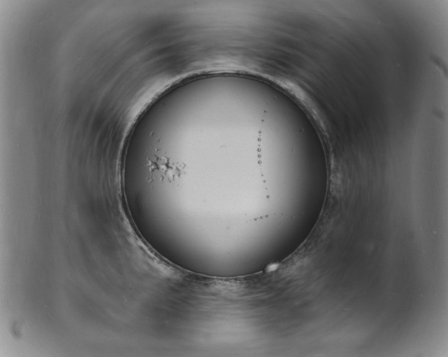 X0000101691191200807171428