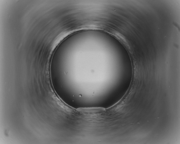 X0000101691192200807171428