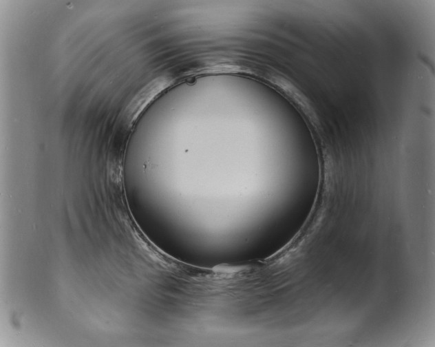 X0000101691193200807171428