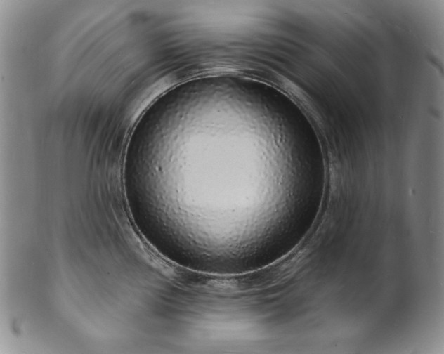 X0000101691194200807171428