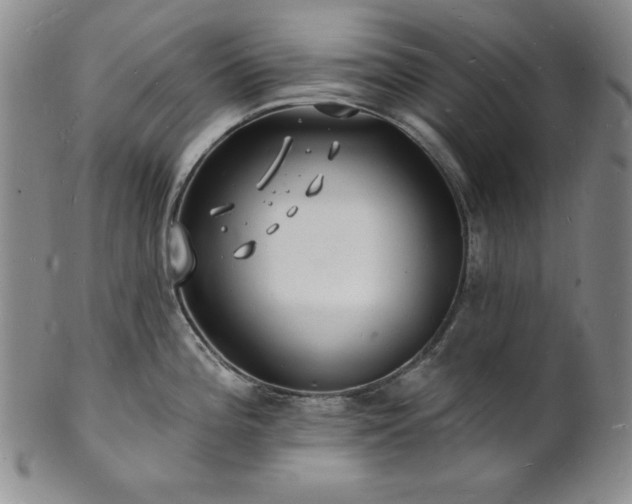 X0000101691196200807171428