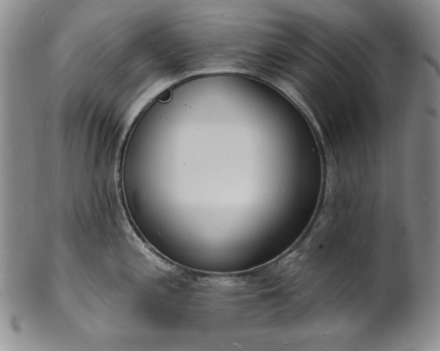 X0000101691197200807171428