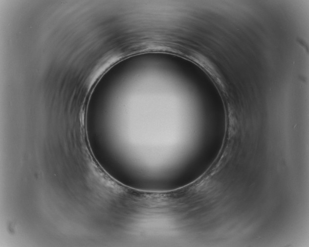 X0000101691198200807171428