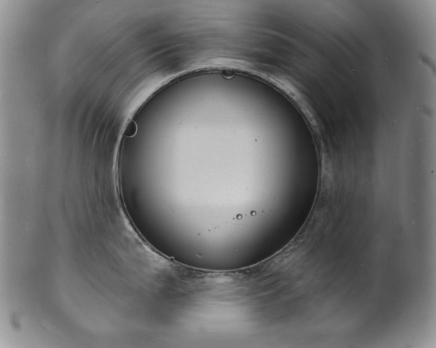 X0000101691199200807171428