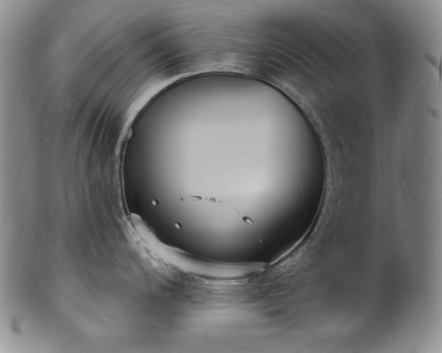 X0000101691200200807171428