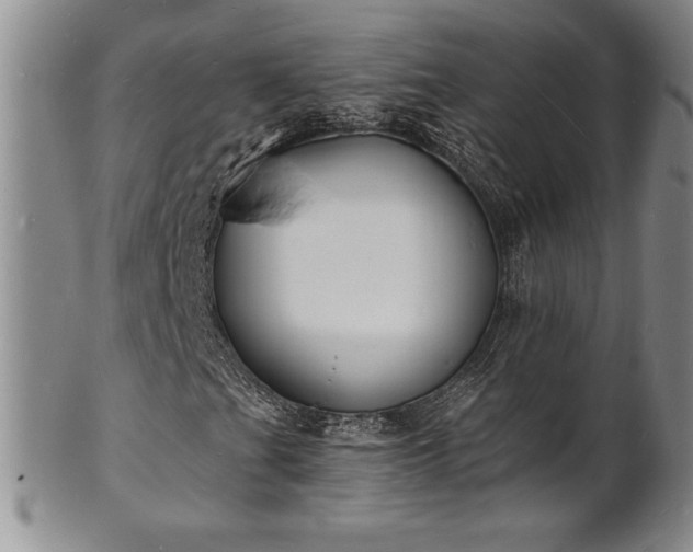 X0000101691201200807171427