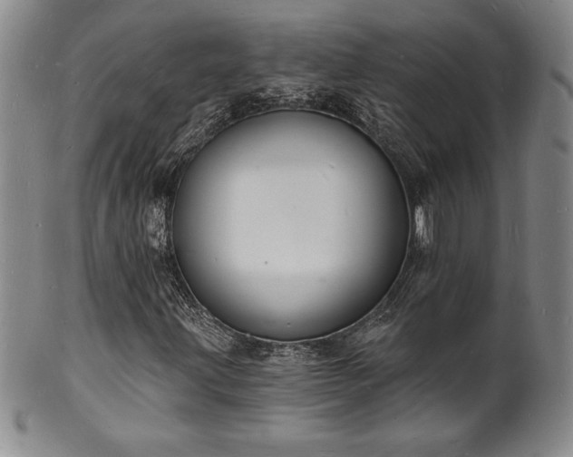 X0000101691203200807171427