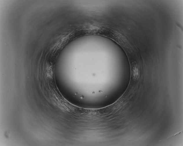 X0000101691204200807171427