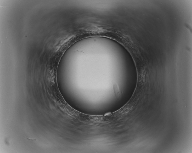 X0000101691205200807171427