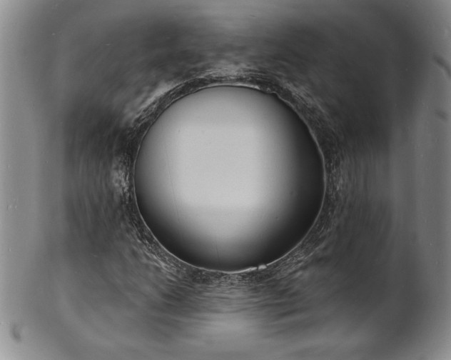 X0000101691206200807171427