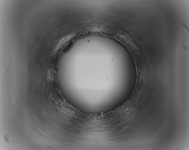 X0000101691207200807171427