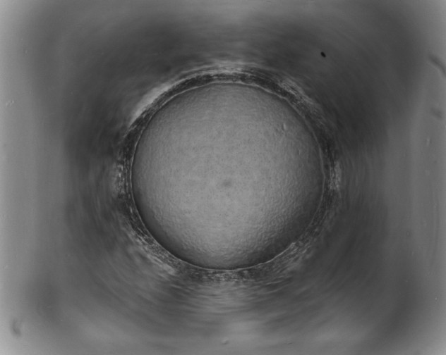 X0000101691208200807171427