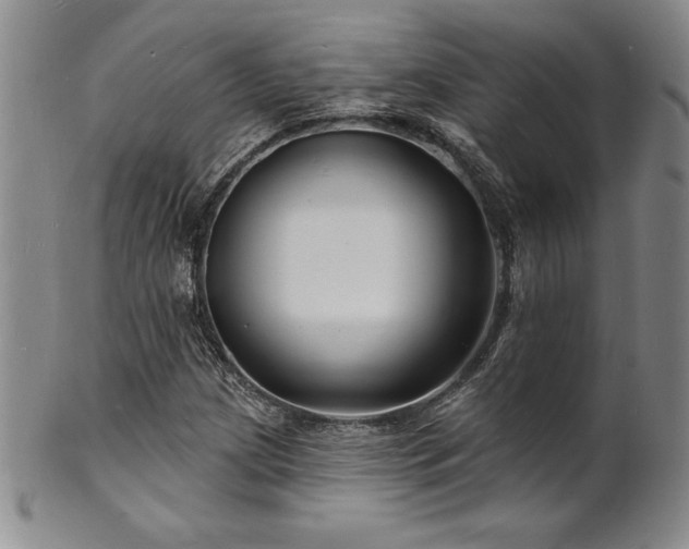 X0000101691209200807171427