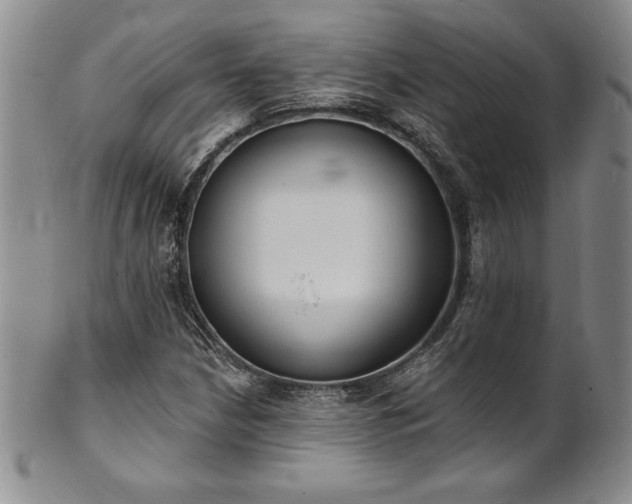 X0000101691210200807171427