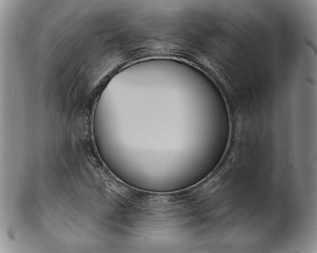 X0000101691211200807171427