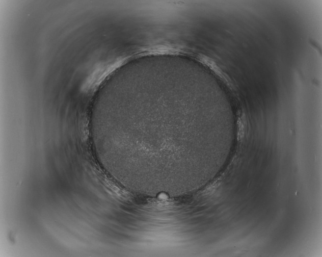 X0000101691213200807171427