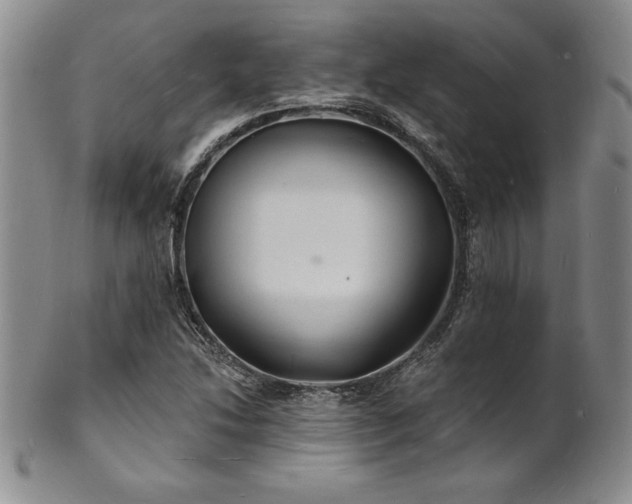 X0000101691214200807171427