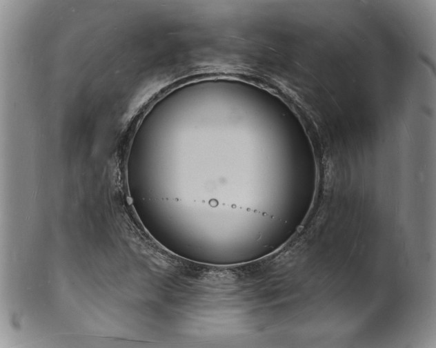 X0000101691215200807171427