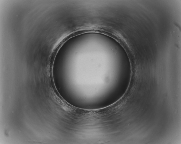 X0000101691216200807171427