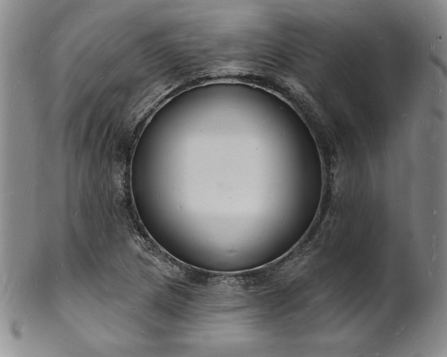 X0000101691217200807171427