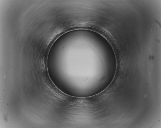 X0000101691218200807171428