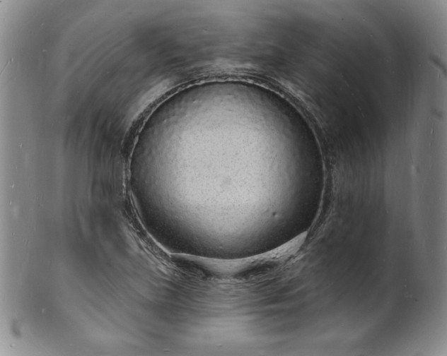 X0000101691219200807171428