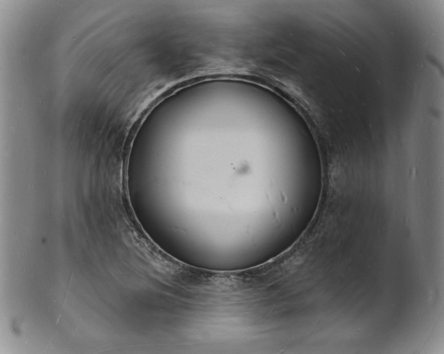 X0000101691220200807171428