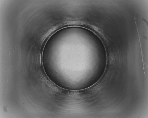 X0000101691221200807171428