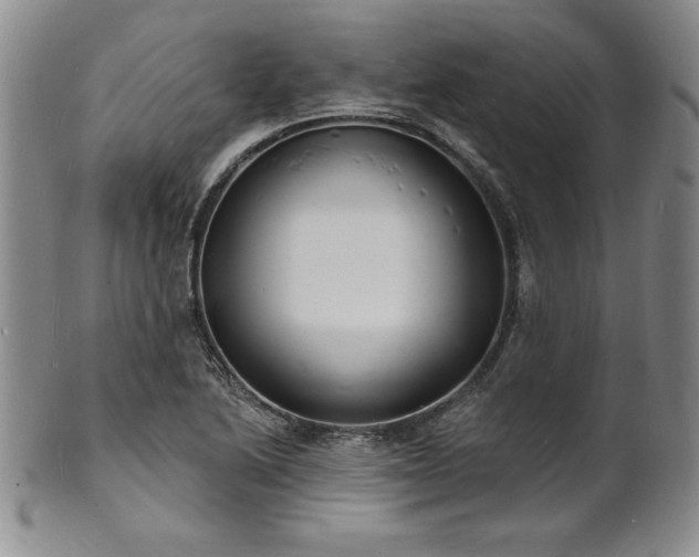 X0000101691222200807171428