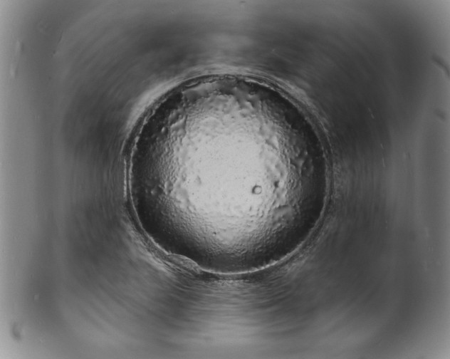 X0000101691223200807171428