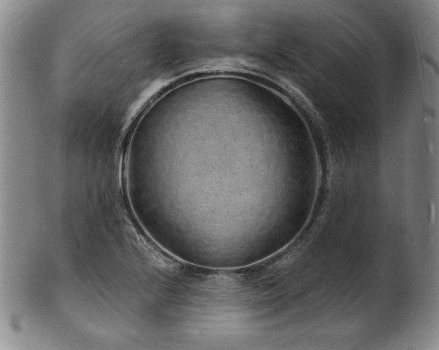 X0000101691224200807171428