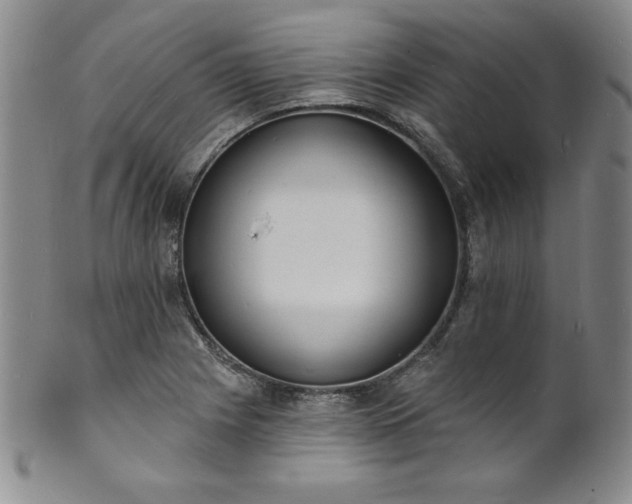 X0000101691225200807171428