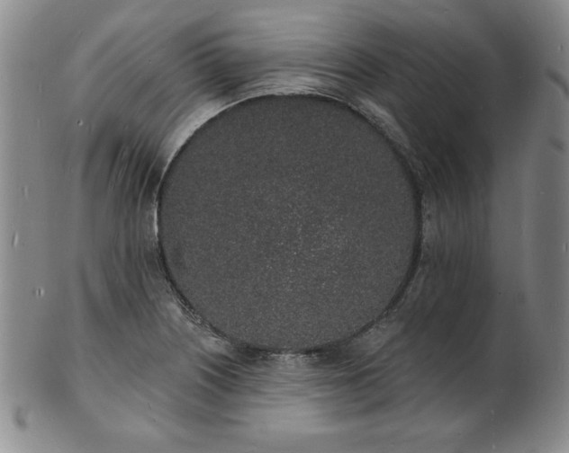 X0000101691226200807171428