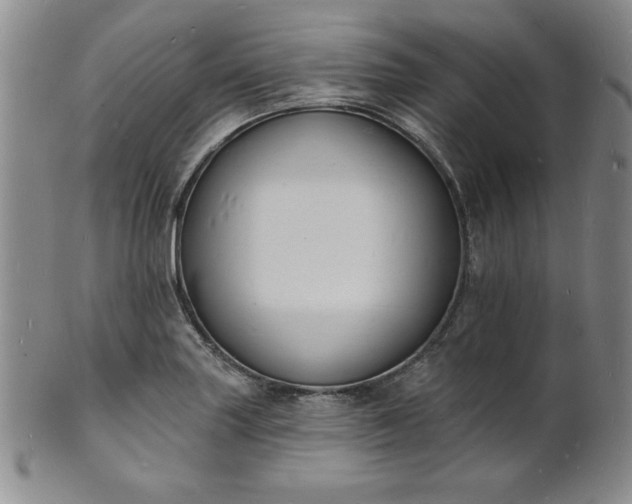 X0000101691227200807171428