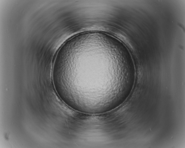 X0000101691228200807171428