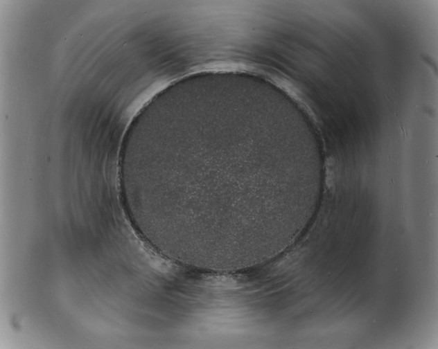 X0000101691229200807171428