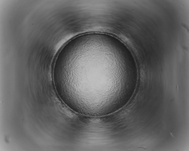 X0000101691230200807171428