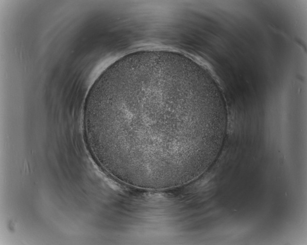 X0000101691231200807171428