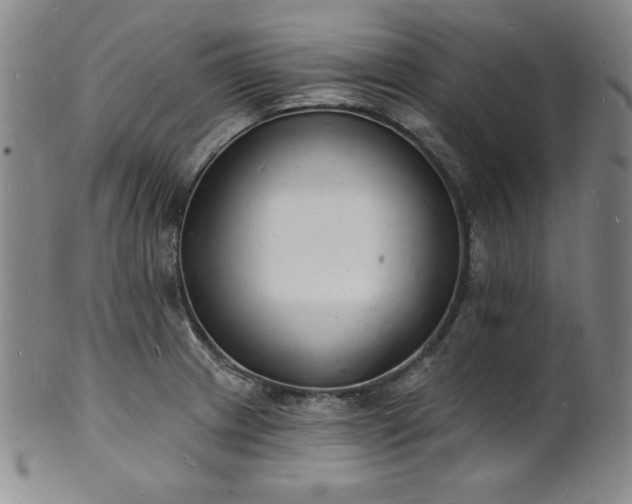 X0000101691233200807171428