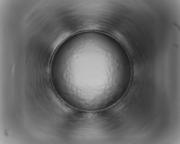 X0000101691234200807171428