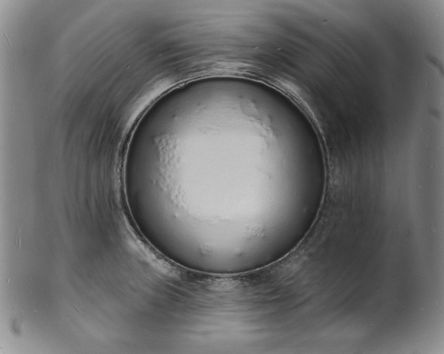 X0000101691235200807171428