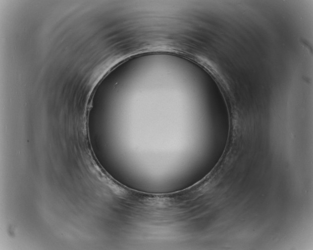 X0000101691236200807171428